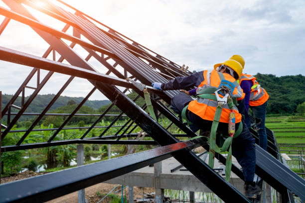 Professional Roofing Contractor in Wellington, CO