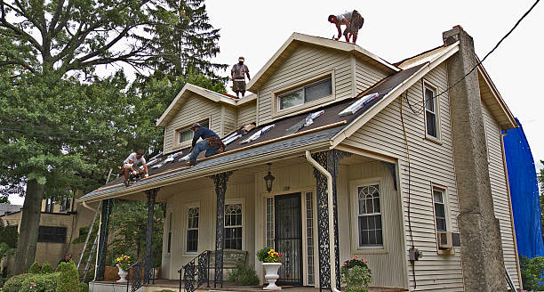 Best Local Roofing Companies  in Wellington, CO